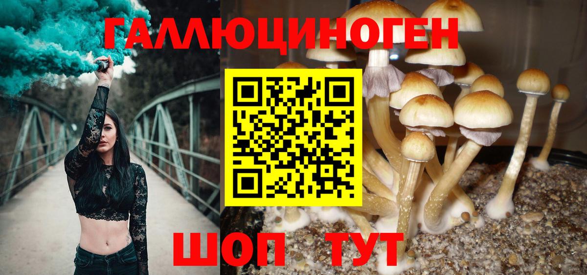 Псилоцибиновые грибы прущие грибы  Псилоцибиновые грибы Magic Shrooms  Зеленодольск  продажа наркотиков  Вход с VPN 